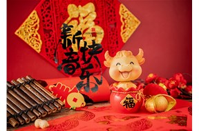 山东双鹰医疗祝大家春节快乐！